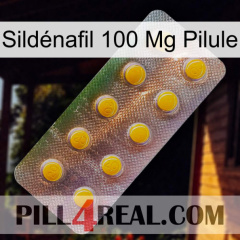 Sildénafil 100 Mg Pilule new11